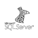 SQL Server logo